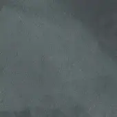 243303459 - PETROLIO